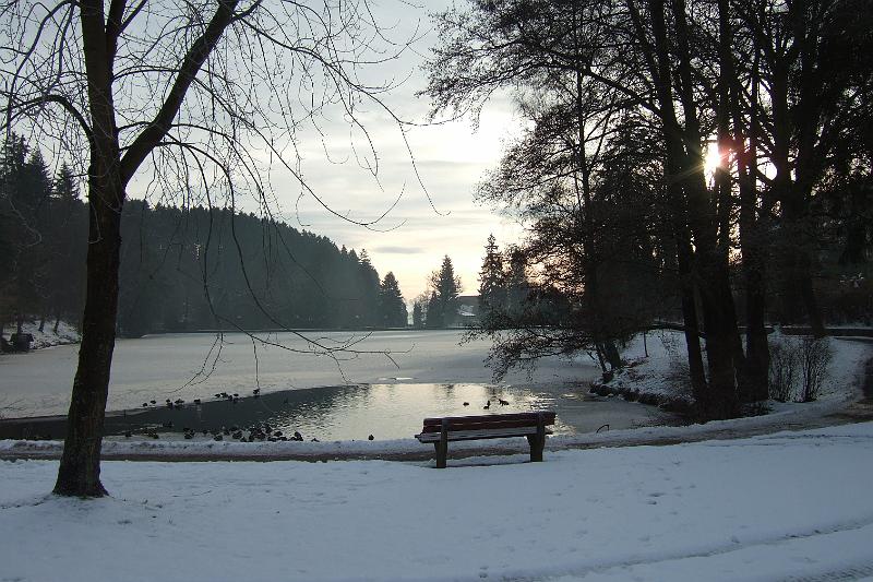 2009-12- (100).JPG - Am Schmelzteich in Bad Sachsa